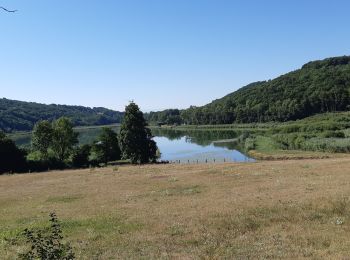 Randonnée A pied Moras - etang de moras - Photo