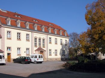 Excursión A pie Kreischa - Grüner Punkt - Photo