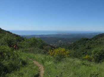 Tocht Stappen Vence - Puy de Tourrettes et plateau de Saint Barnabé - Photo