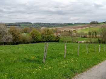 Trail Walking Chézy-sur-Marne - Chézy-sur-Marne du 19/04/2023 - Photo