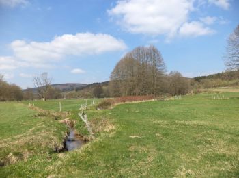 Tour Zu Fuß Sinntal - Jossa - Rundwanderweg Geweih - Photo