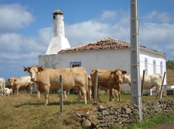 Tour Zu Fuß Santa Bárbara - PRC3SMA Entre a Serra e o Mar - Photo