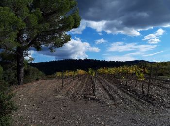 Excursión Senderismo Pierrefeu-du-Var - La Portanière - Photo