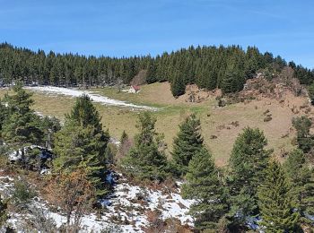 Trail Walking Arrien-en-Bethmale - Les granges de la Serre depuis Tournac-La Bouche. - Photo