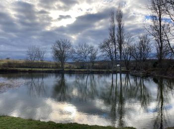 Trail Walking Aujols - Aujols lac de Fraysse  - Photo