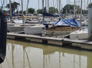 Tour Quad Saint-Georges-Antignac - estuaire - Photo