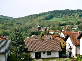 Percorso A piedi Ottweiler - Hartfüßlerweg Nordschleife - Photo