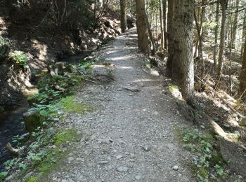 Randonnée Marche nordique Ayent - bisse d'Ayen  - Photo