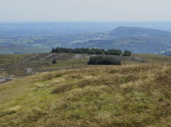 Tour Zu Fuß  - Black Mountains Fell Race - Photo