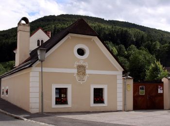 Excursión A pie Gemeinde Scheiblingkirchen-Thernberg - Scheiblingkirchen: Erzherzog Johann-Rundwanderweg - Photo