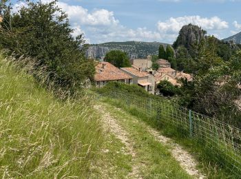 Percorso Marcia Rougon - Mourre du chanier par rougon Réél - Photo