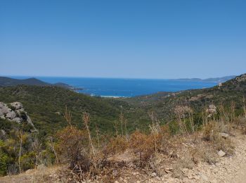 Excursión Bici de montaña Coti-Chiavari - Mare Sol-Codti Chiavari  - Photo