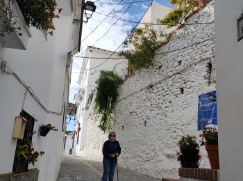 Tour Wandern Salares - De Salares au Cortijo Casa de Haro - Photo