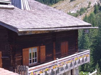 Percorso Marcia La Clusaz - 74.trou de la mouche la Clusaz août 2022 - Photo