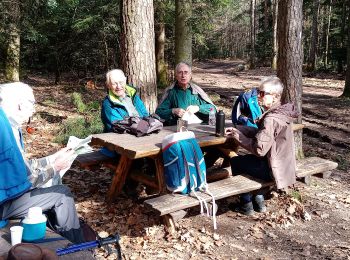 Trail Walking Guebwiller - Col du Dreibannstein (25/02/2021) - Photo