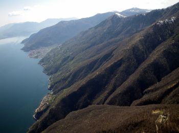 Trail On foot Cannobio - S04 Bivio S02 S.Bartolomeo in Montibus - Monte Faierone - Photo