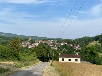 Randonnée Marche Verfeil-sur-Seye - Boucle verfeil  - Photo