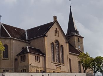 Randonnée Marche Rombas - ROMBAS - ROMBAS ET LA CÔTE DE DRINCE - Photo