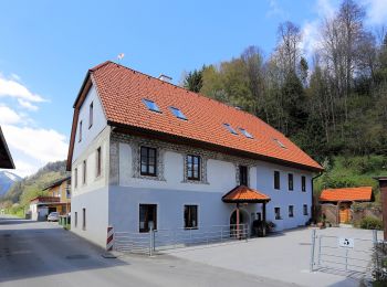 Tour Zu Fuß Kammern im Liesingtal - Rittersteig - Photo