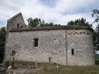 Percorso A piedi Saint-Antoine-de-Ficalba - Bonneval, le circuit des trois églises - 10,7km - Photo