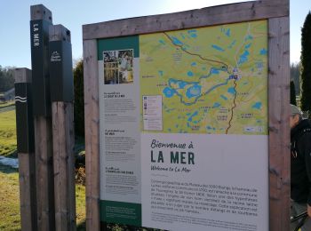 Tour Wandern Faucogney-et-la-Mer - 28 2 2021 les 1000 étangs La Mer - Photo