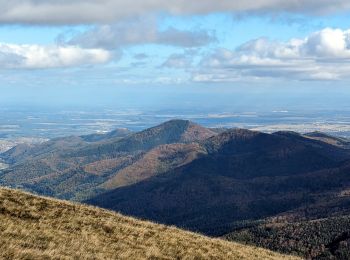 Trail Walking Rouffach - suuntoapp-Hiking-2023-10-22T08-43-15Z - Photo