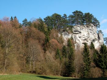 Percorso A piedi Gemeinde Gutenstein - Gutenstein - Purbach (Kasperhof) - Thal - Photo