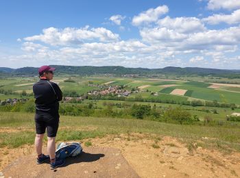 Randonnée Marche Dossenheim-sur-Zinsel - Le Bastberg depuis Dossenheim-sur-Zinsel - Photo