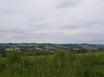 Randonnée Voiture Tarsacq - CcLO Artix Lacq Mourenx 14.06.19 - Photo