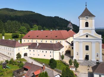 Tocht Te voet Gemeinde Kirchberg am Wechsel - Spazierweg 10 - Photo