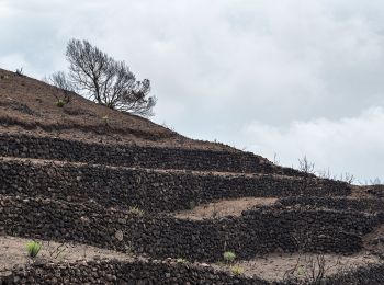 Randonnée A pied Pantelleria - Bagno Asciutto di Benikulá - Favara Grande - Tráçino - Photo