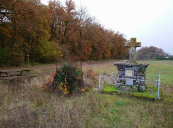 Percorso Marcia Truyes - Truyes - La Croix de l'Apothicaresse - 19.9km 125m 4h20 (25mn) - 2021 11 20 - Photo