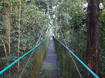 Tour Wandern La Virgen - tirimbina  - Photo