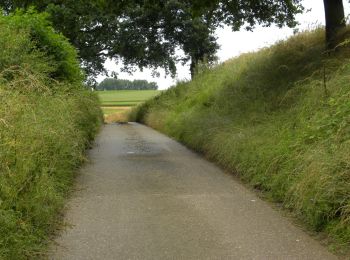 Randonnée A pied Riemst - Molenbeemd Natuureducatief pad - Photo