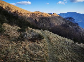 Percorso A piedi Carate Urio - Carate Urio - Rifugio Murelli - Photo