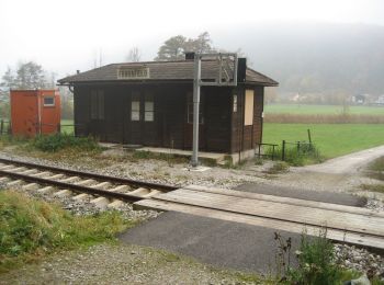 Trail On foot Gemeinde Pottenstein - Fahrafeld-Gadenweith- Neuhaus - Peilstein - Photo