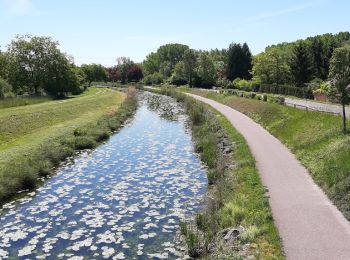 Tour Wandern Méry-sur-Seine - entre Méry sur Seine et Saint-Oulph - Photo