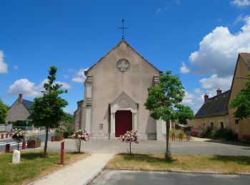 Trail Walking Montreuil-en-Touraine - Montreuil-en-Touraine - 11.7km 80m 2h55 (25mn) - 2023 06 11 - Photo