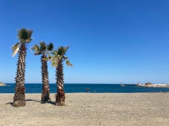 Randonnée Marche Banyuls-sur-Mer - Banyuls-sur-Mer Madaloc par col des gascons  - Photo