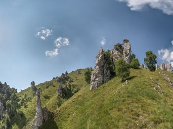 Percorso A piedi Mandello del Lario - Sentiero 5 - Crebbio - Piani Resinelli - Photo