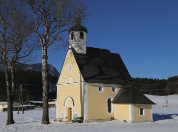 Percorso A piedi Gemeinde Bad Häring - Themenweg 