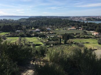 Tocht Stappen Istres - St Étienne mars 2020 - Photo