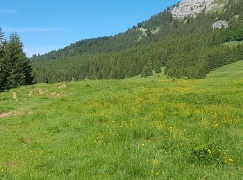 Percorso Marcia Fillière - ronceveau au col du freu 24 juin 19 - Photo