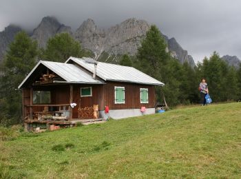 Percorso A piedi Domegge di Cadore - IT-262 - Photo