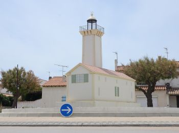 Percorso A piedi Saintes-Maries-de-la-Mer - Boucle entre les deux bras du Rhône - Photo