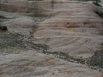 Excursión Senderismo Bédoin - DEMOISELLES COIFFEES  A BEDOIN - Photo