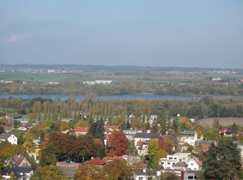 Randonnée A pied Háj ve Slezsku - NS Hájeckými chodníčky - Photo