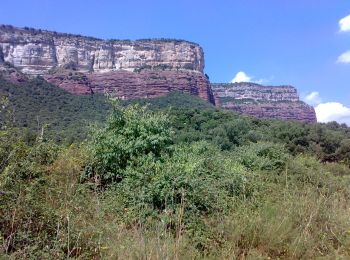 Tour Zu Fuß Vilanova de Sau - Ruta de les carboneres - Photo