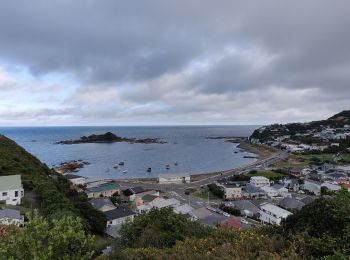 Randonnée A pied  - City to Sea Walkway - Photo