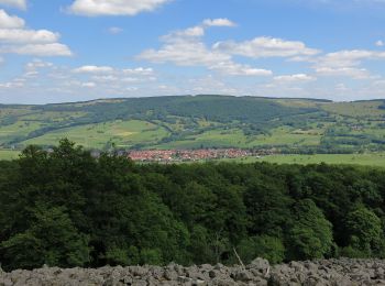 Tour Zu Fuß Ehrenberg - Zubringer Wüstensachsen - Photo